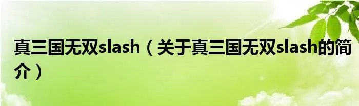 真三国无双slash（关于真三国无双slash的简介）