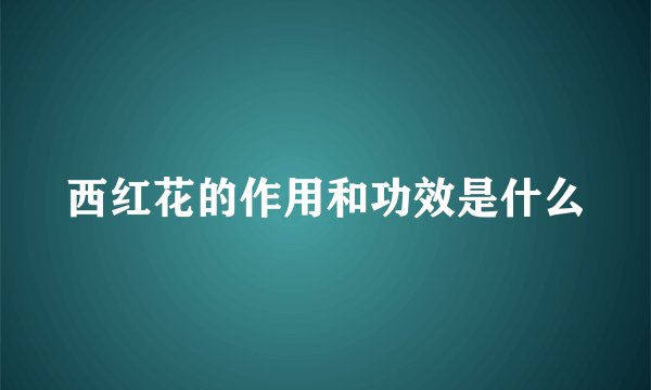 西红花的作用和功效是什么