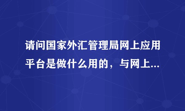 请问国家外汇管理局网上应用平台是做什么用的，与网上服务平台的区别与联系？谢谢