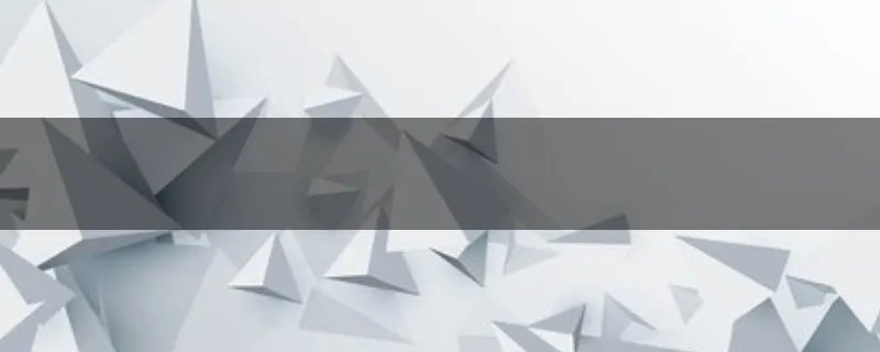 什么车排量最大