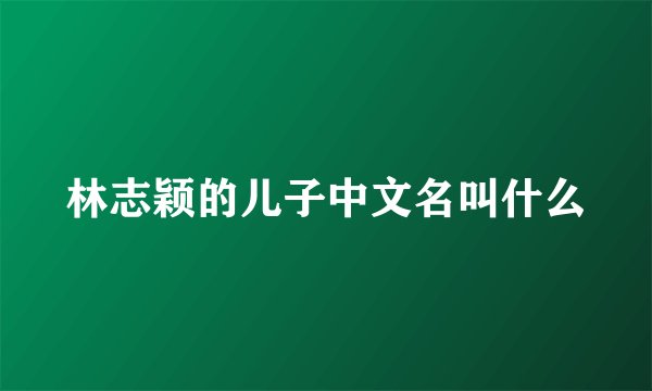 林志颖的儿子中文名叫什么