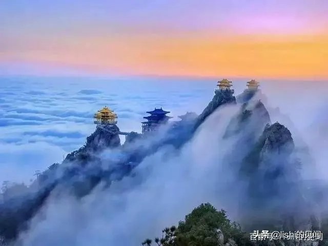 你觉得现在的综艺节目最大的看点在哪里?