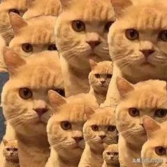 为什么我用手机打字很快，电脑打字不行？