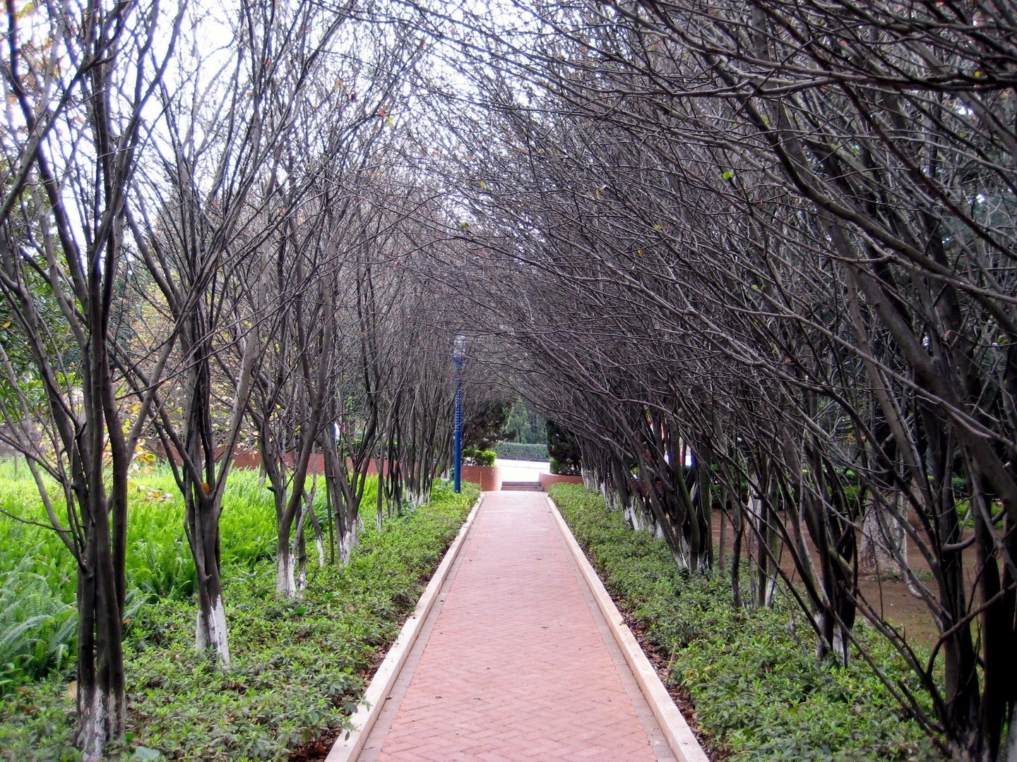 农大论坛的同心亭简介