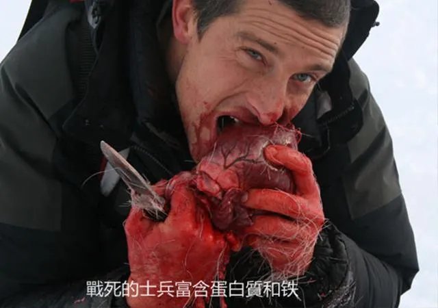 贝爷为什么来中国拍节目