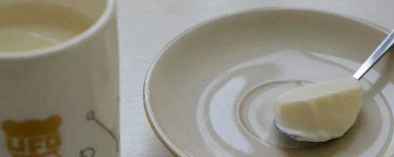 小熊酸奶机怎么使用