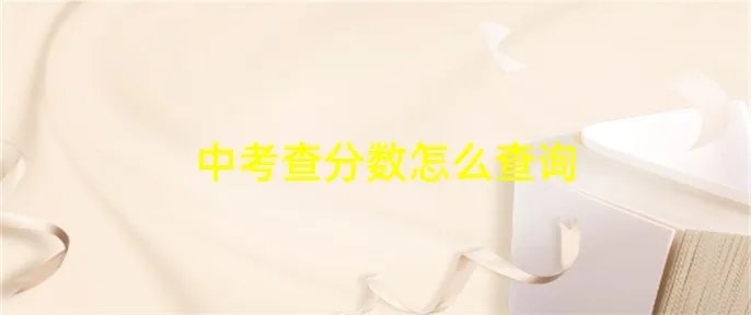 中考查分数怎么查询