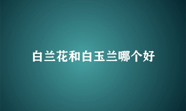 白兰花和白玉兰哪个好
