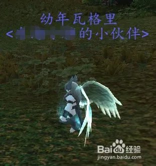 幼年瓦格里在哪抓？