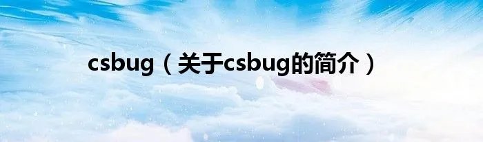 csbug（关于csbug的简介）