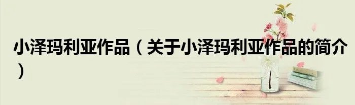 小泽玛利亚作品（关于小泽玛利亚作品的简介）