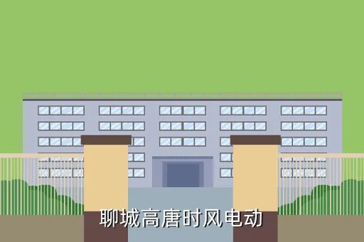 聊城电动汽车，聊城高唐时风电动