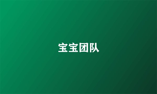 宝宝团队