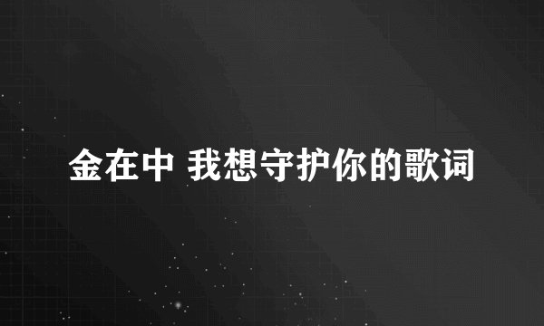 金在中 我想守护你的歌词