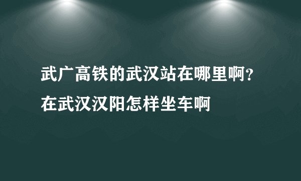 武广高铁的武汉站在哪里啊？在武汉汉阳怎样坐车啊