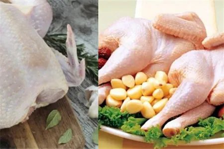 德州扒鸡是哪个地方的菜