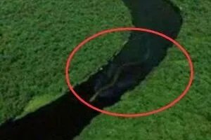 马来西亚史前巨蛇nabau(纳布)，有七个鼻孔的神秘蛟龙(长30米) 