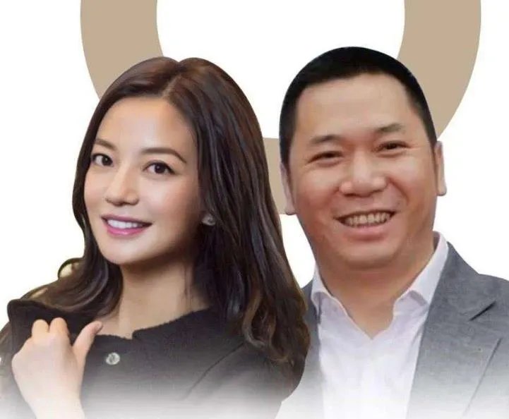 赵薇老公是谁：赵薇老公个人资料及工作