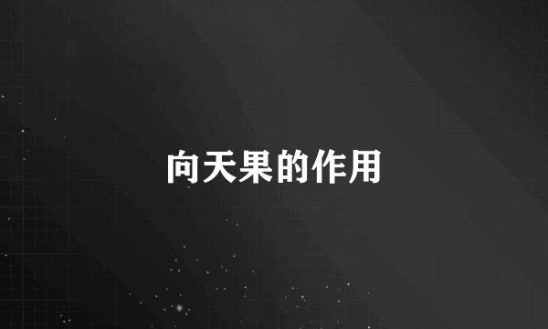 向天果的作用