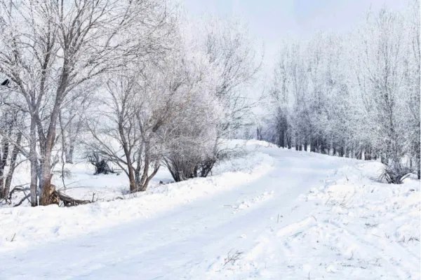 描写大雪纷飞的唯美诗句
