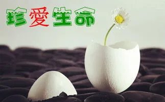 少女跳楼身亡楼下父亲欲接住被砸死，这是如何惨痛的事情