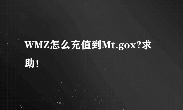 WMZ怎么充值到Mt.gox?求助！