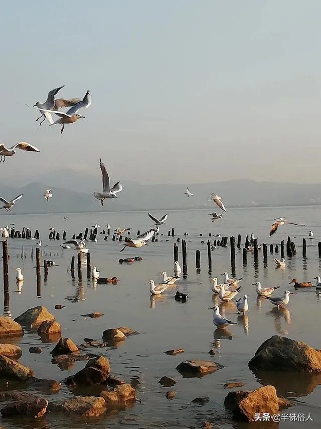 雇主险可以在线投保吗,好操作吗?