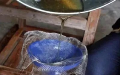 哪个牌子蜂蜜是正宗的?求推荐