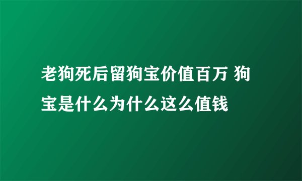 老狗死后留狗宝价值百万 狗宝是什么为什么这么值钱