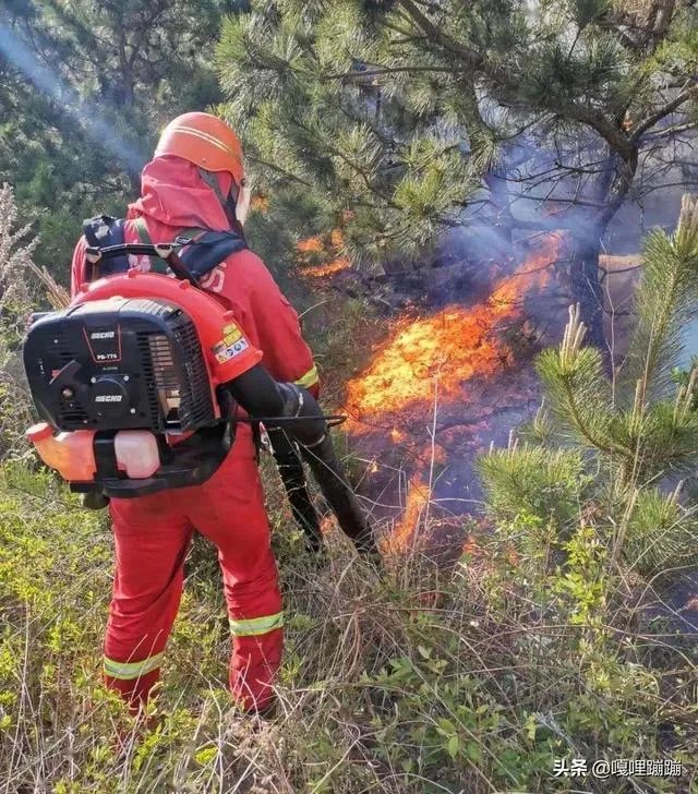 西海岸大火怎么着起来的?