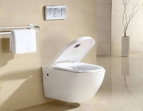 挂墙式马桶弊端是什么