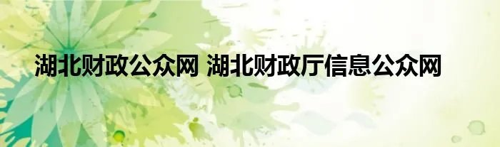 湖北财政公众网 湖北财政厅信息公众网
