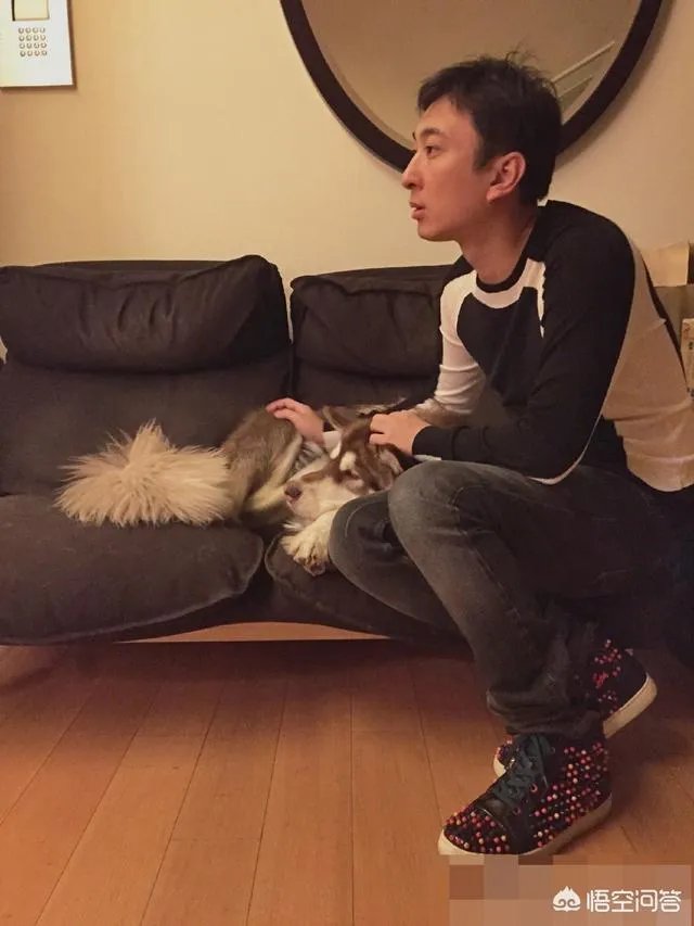 被爆一夜两女后怒怼李小璐，“国民老公”王思聪为何自称“丧偶”？