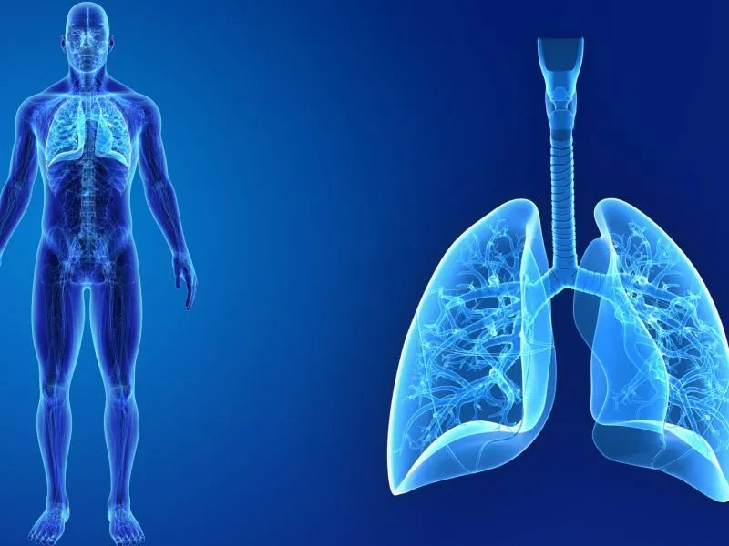 武汉不明原因肺炎原因水落石出：原来都是冠状病毒搞的鬼