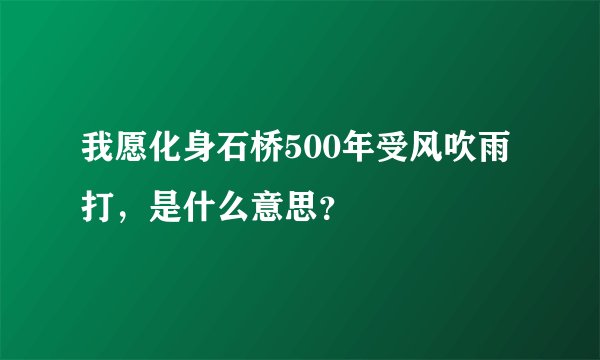 我愿化身石桥500年受风吹雨打，是什么意思？