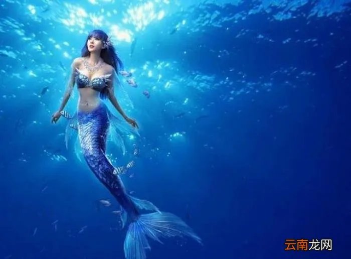 美人鱼化石推翻进化论 美人鱼化石图片