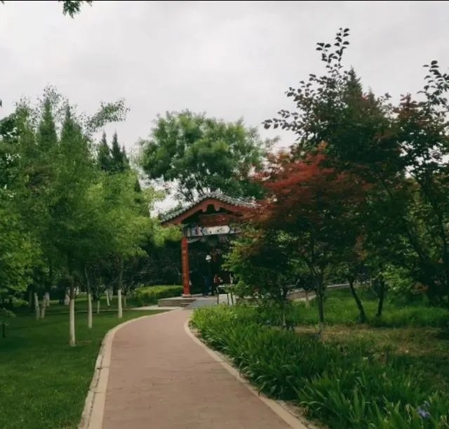 美国的新冠肺炎确诊病例为什么一直遥遥领先？