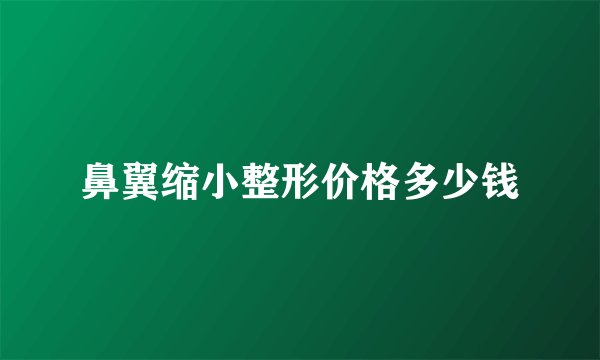 鼻翼缩小整形价格多少钱