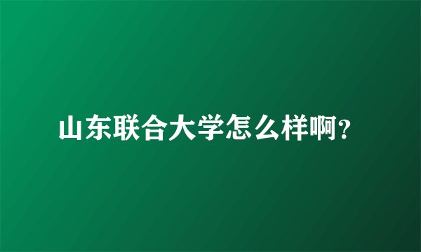 山东联合大学怎么样啊？