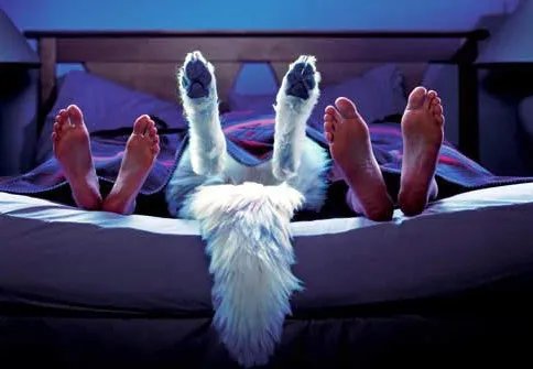 霸气小三与夫妻同睡一张床 网友：这世界真疯了