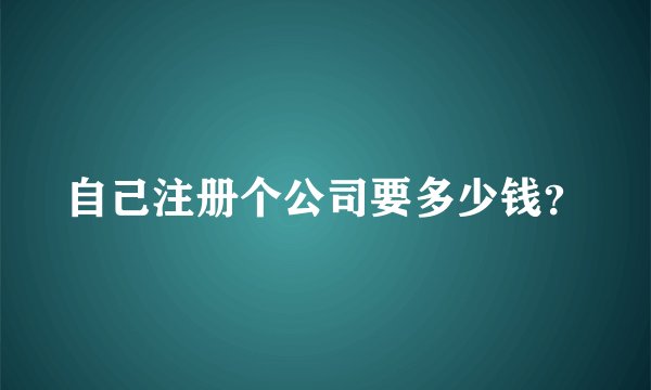 自己注册个公司要多少钱？