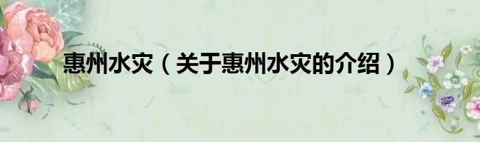 惠州水灾（关于惠州水灾的介绍）