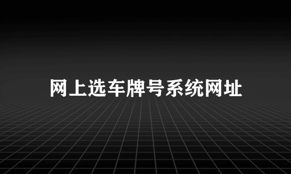 网上选车牌号系统网址