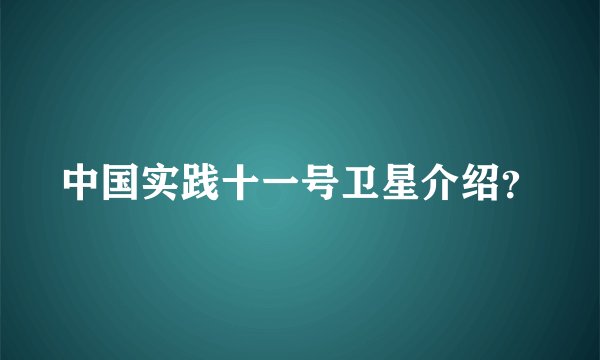 中国实践十一号卫星介绍？