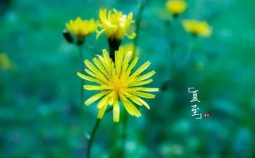 立碑有什么讲究立碑的六大规矩