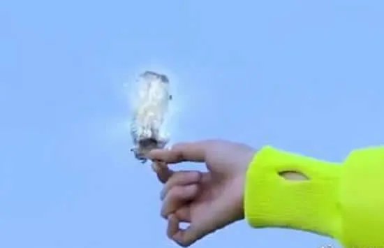 极限挑战嘉宾摘国家二级保护植物 刘宇宁发文回应此事真相来了