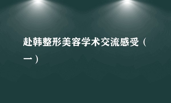 赴韩整形美容学术交流感受（一）