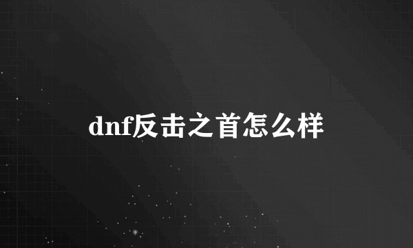 dnf反击之首怎么样