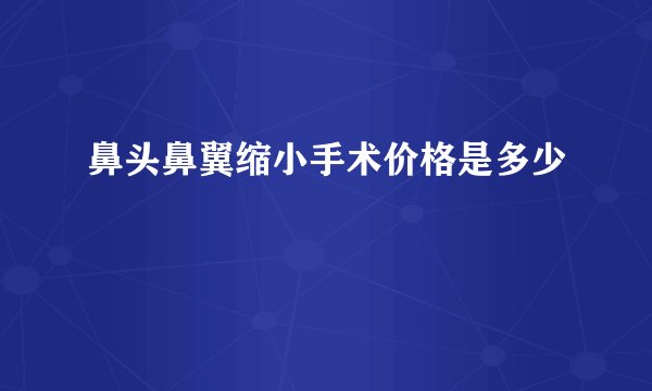 鼻头鼻翼缩小手术价格是多少