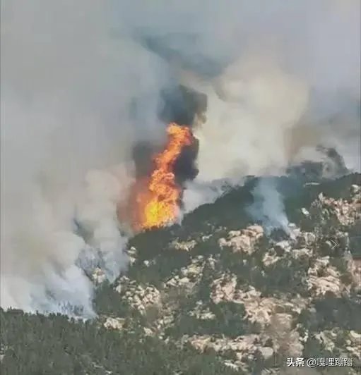 西海岸大火怎么着起来的?